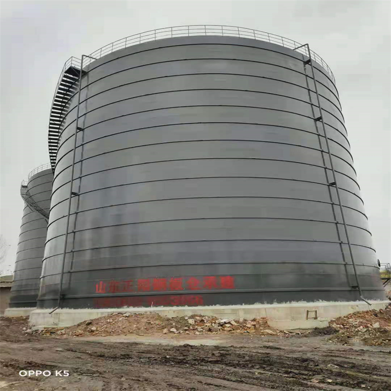 迭部3万吨大型钢板库